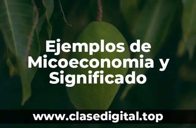 Ejemplos de Micoeconomia y Significado