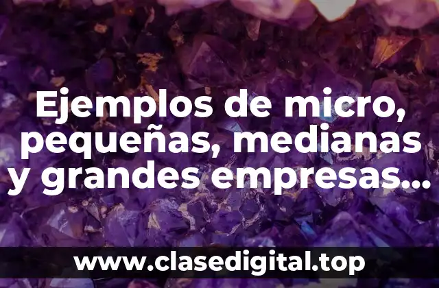 Ejemplos de micro, pequeñas, medianas y grandes empresas en México y Significado