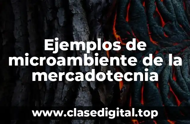 Ejemplos de microambiente de la mercadotecnia