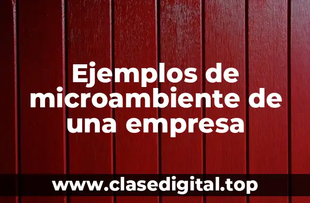 Ejemplos de microambiente de una empresa