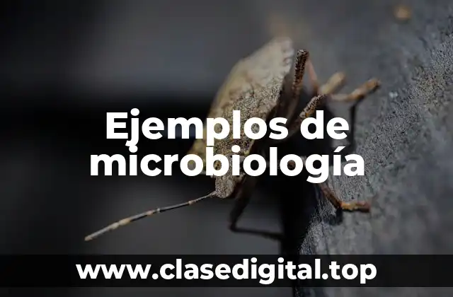 Ejemplos de microbiología