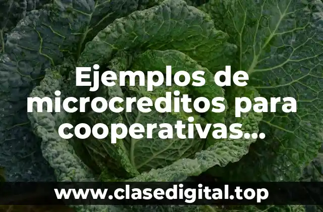 Ejemplos de microcreditos para cooperativas agricultura