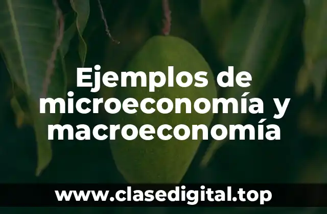 Ejemplos de microeconomía y macroeconomía