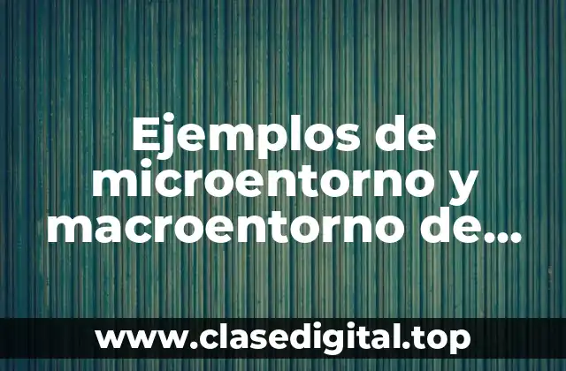 Ejemplos de microentorno y macroentorno
