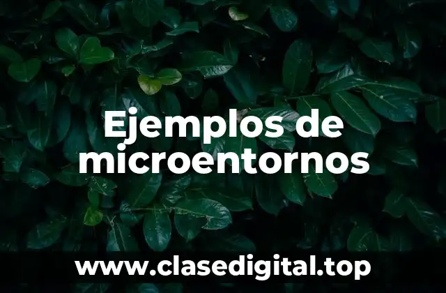 Ejemplos de microentornos