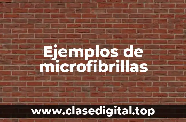 Ejemplos de microfibrillas