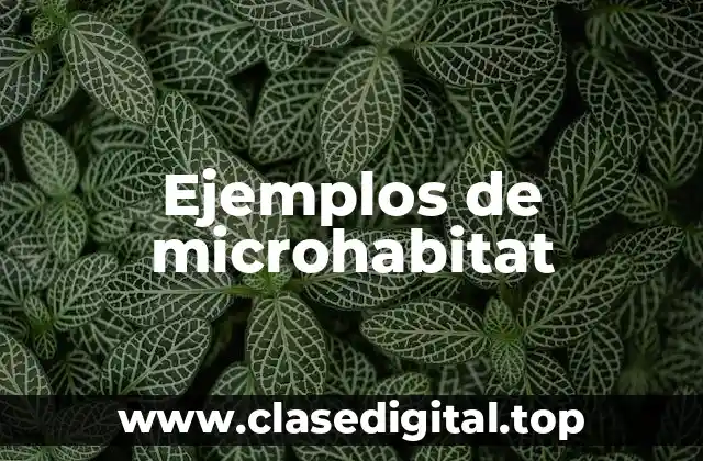 Ejemplos de microhabitat