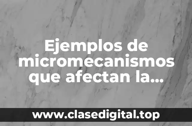 Ejemplos de micromecanismos que afectan la velocidad de reacción