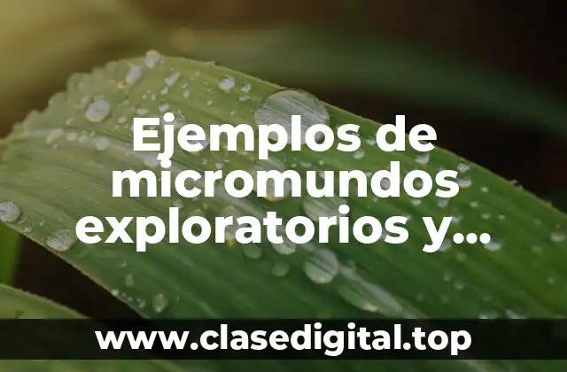 Ejemplos de micromundos exploratorios y lenguaje sintónico
