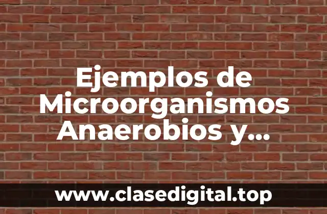 Ejemplos de Microorganismos Anaerobios y Significado
