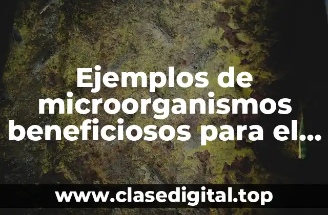 Ejemplos de microorganismos beneficiosos para el ser humano y Significado