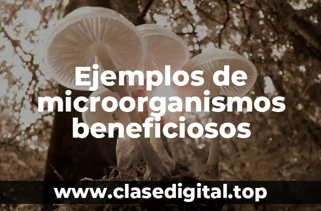 Ejemplos de microorganismos beneficiosos
