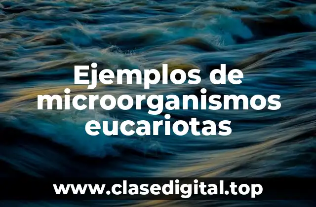 Ejemplos de microorganismos eucariotas