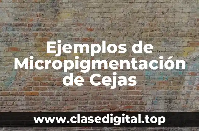 Ejemplos de Micropigmentación de Cejas