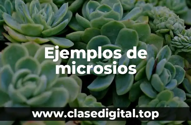 Ejemplos de microsios