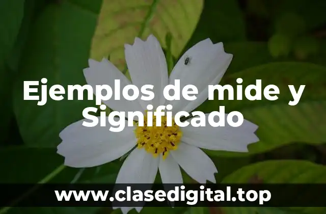 Ejemplos de mide y Significado