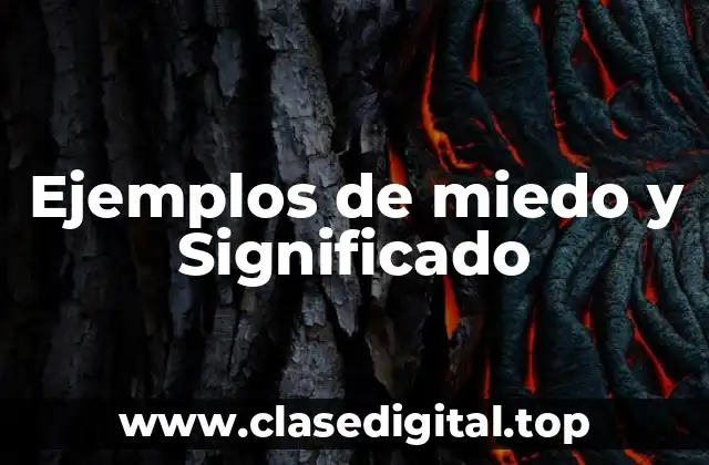 Ejemplos de miedo y Significado