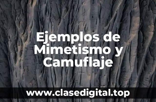 Ejemplos de Mimetismo y Camuflaje
