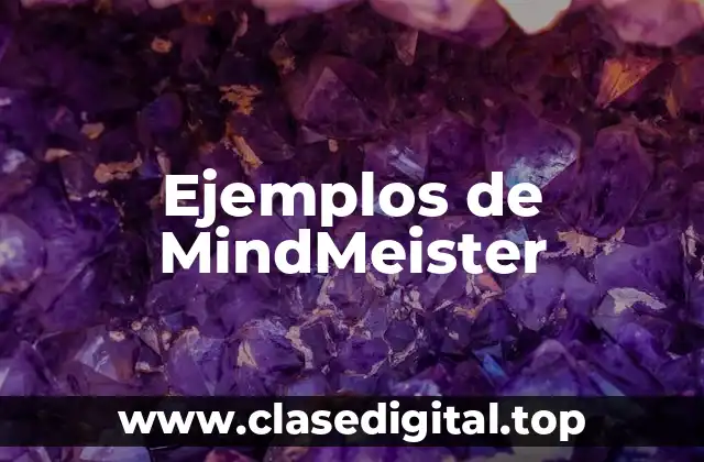 Ejemplos de MindMeister