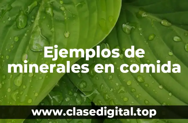Ejemplos de minerales en comida