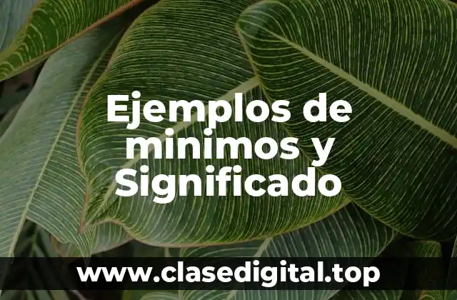 Ejemplos de minimos y Significado