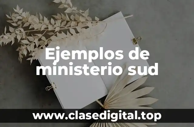 Ejemplos de ministerio sud