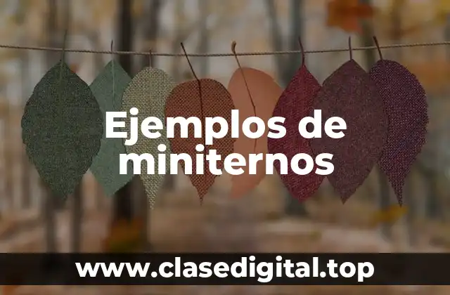Ejemplos de miniternos