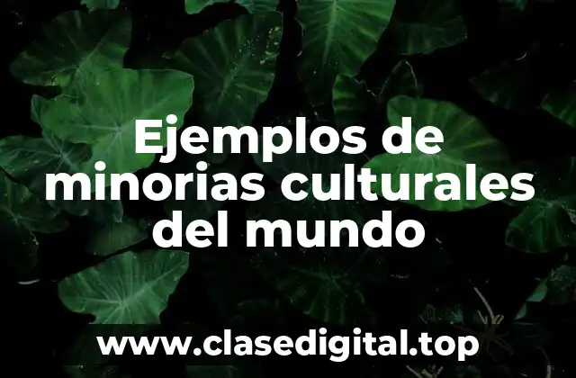 Ejemplos de minorias culturales del mundo
