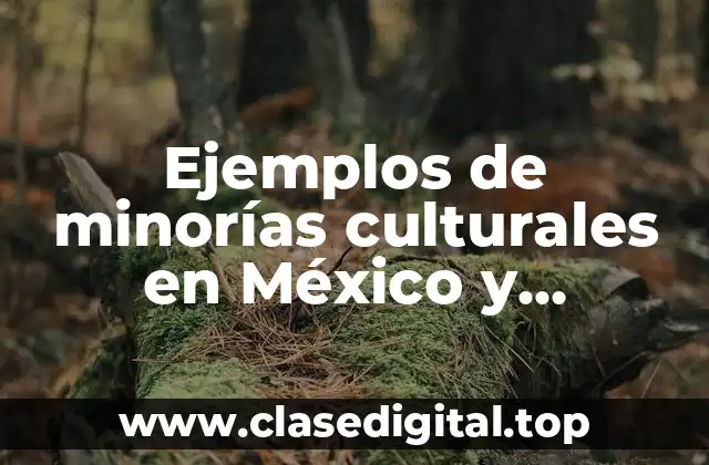 Ejemplos de minorías culturales en México y Significado