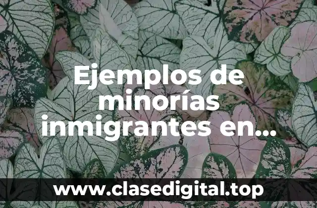 Ejemplos de minorías inmigrantes en México y Significado