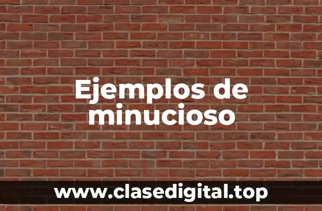 Ejemplos de minucioso