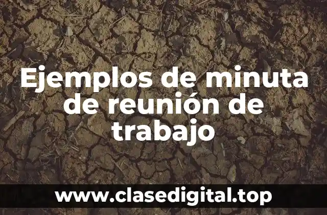 Ejemplos de minuta de reunión de trabajo