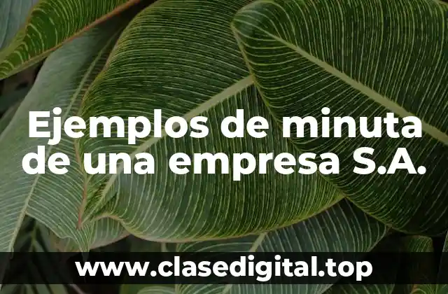 Ejemplos de minuta de una empresa S.A.
