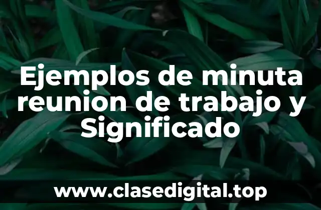 Ejemplos de minuta de reunión de trabajo