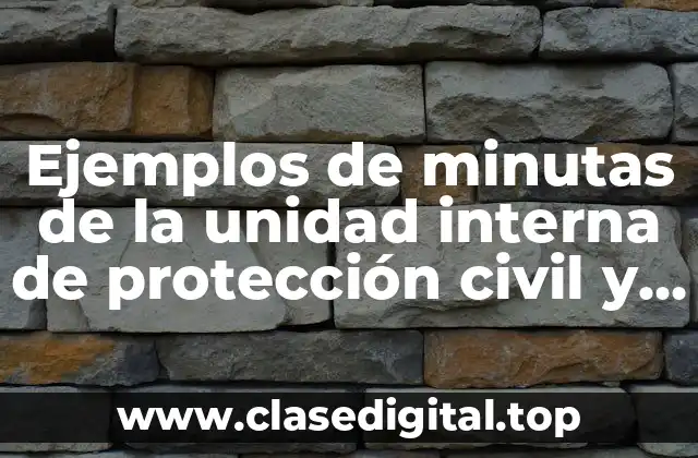 Ejemplos de minutas de la unidad interna de protección civil y Significado