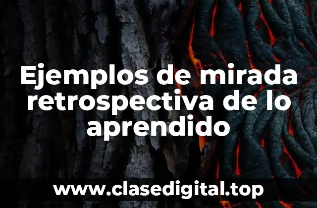 Ejemplos de mirada retrospectiva de lo aprendido