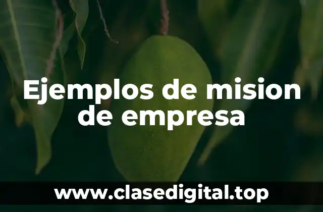 Ejemplos de mision de empresa