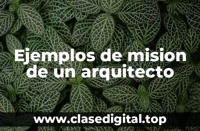 Ejemplos de mision de un arquitecto