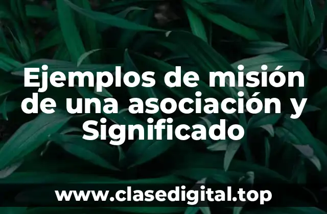 Ejemplos de misión de una asociación y Significado