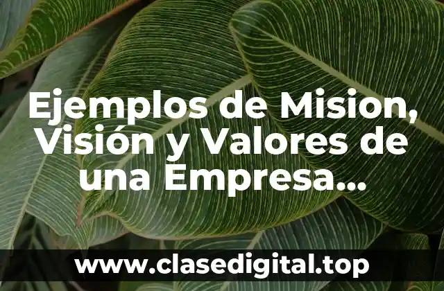 Ejemplos de Mision, Visión y Valores de una Empresa Distribuidora y Significado
