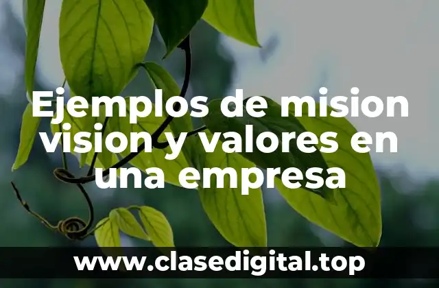 Ejemplos de mision vision y valores en una empresa