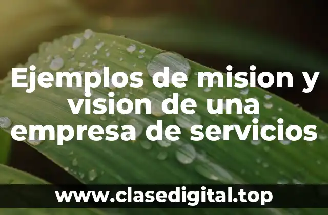 Ejemplos de misión y visión de empresas de servicios