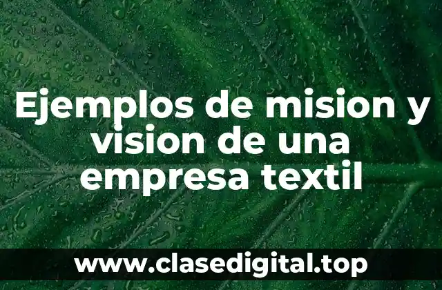 Ejemplos de mision y vision de una empresa textil
