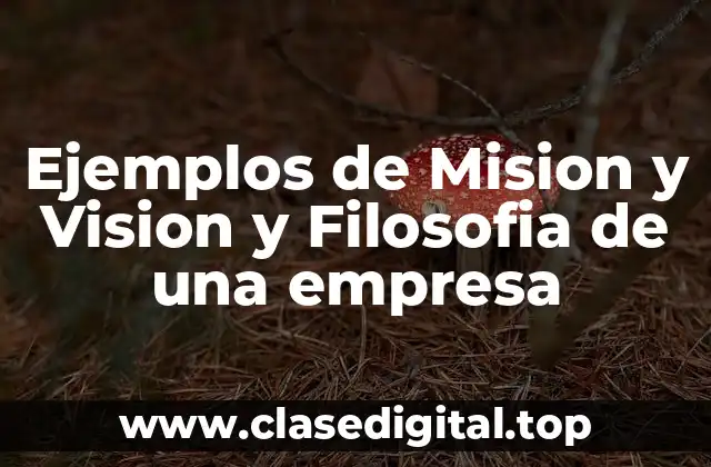 Ejemplos de Mision y Vision y Filosofia de una empresa