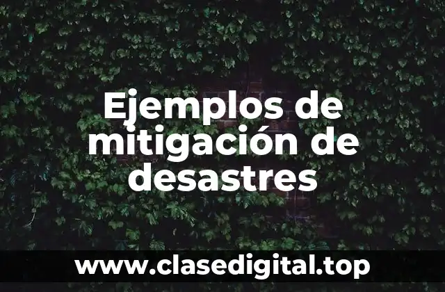 Ejemplos de mitigación de desastres