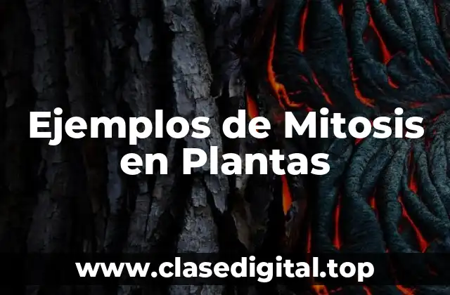 Ejemplos de Mitosis en Plantas
