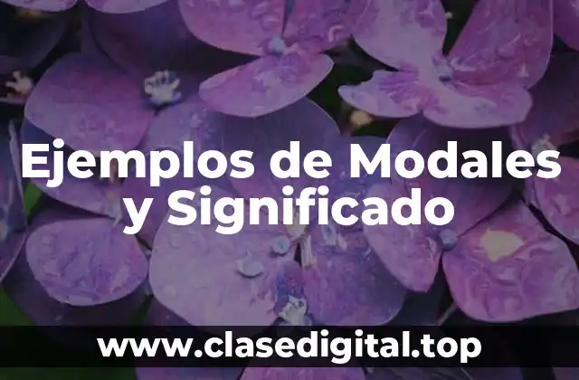 Ejemplos de Modales y Significado