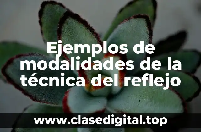 Ejemplos de modalidades de la técnica del reflejo