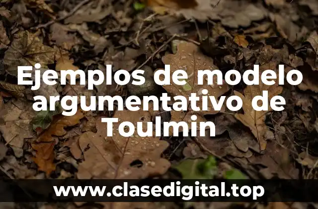 Ejemplos de modelo argumentativo de Toulmin