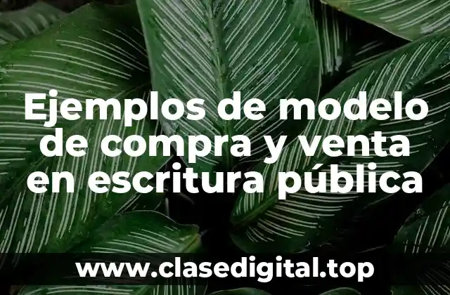 Ejemplos de modelo de compra y venta en escritura pública
